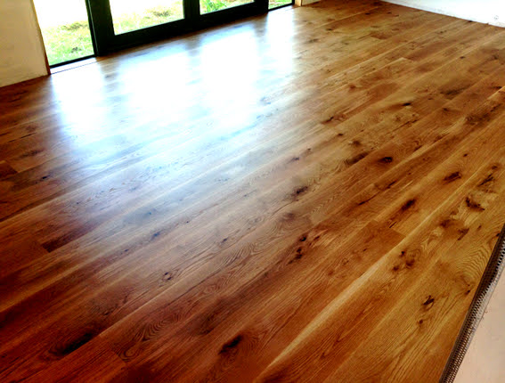 Placeholder title for interiorFloor-1